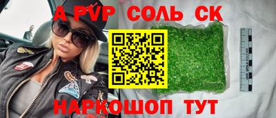 тгк Кингисепп