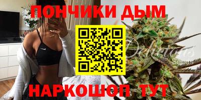 тгк Кингисепп