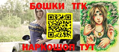 тгк Кингисепп