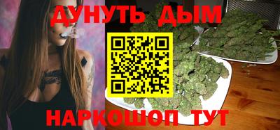 тгк Кингисепп