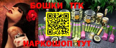 тгк Кингисепп
