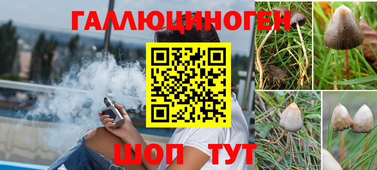 Королёв  Галлюциногенные грибы прущие грибы  Вход с VPN 